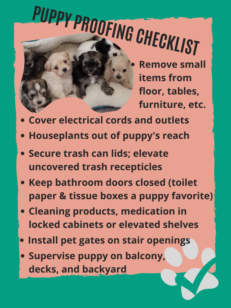 https://www.fausthousehavanese.com/wp-content/uploads/2022/06/PuppyP-Checklist-768x1024.png