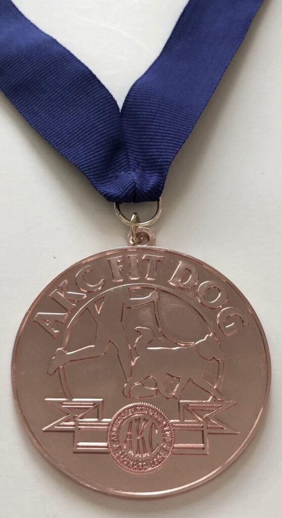 Fit Dog Bronze Medal